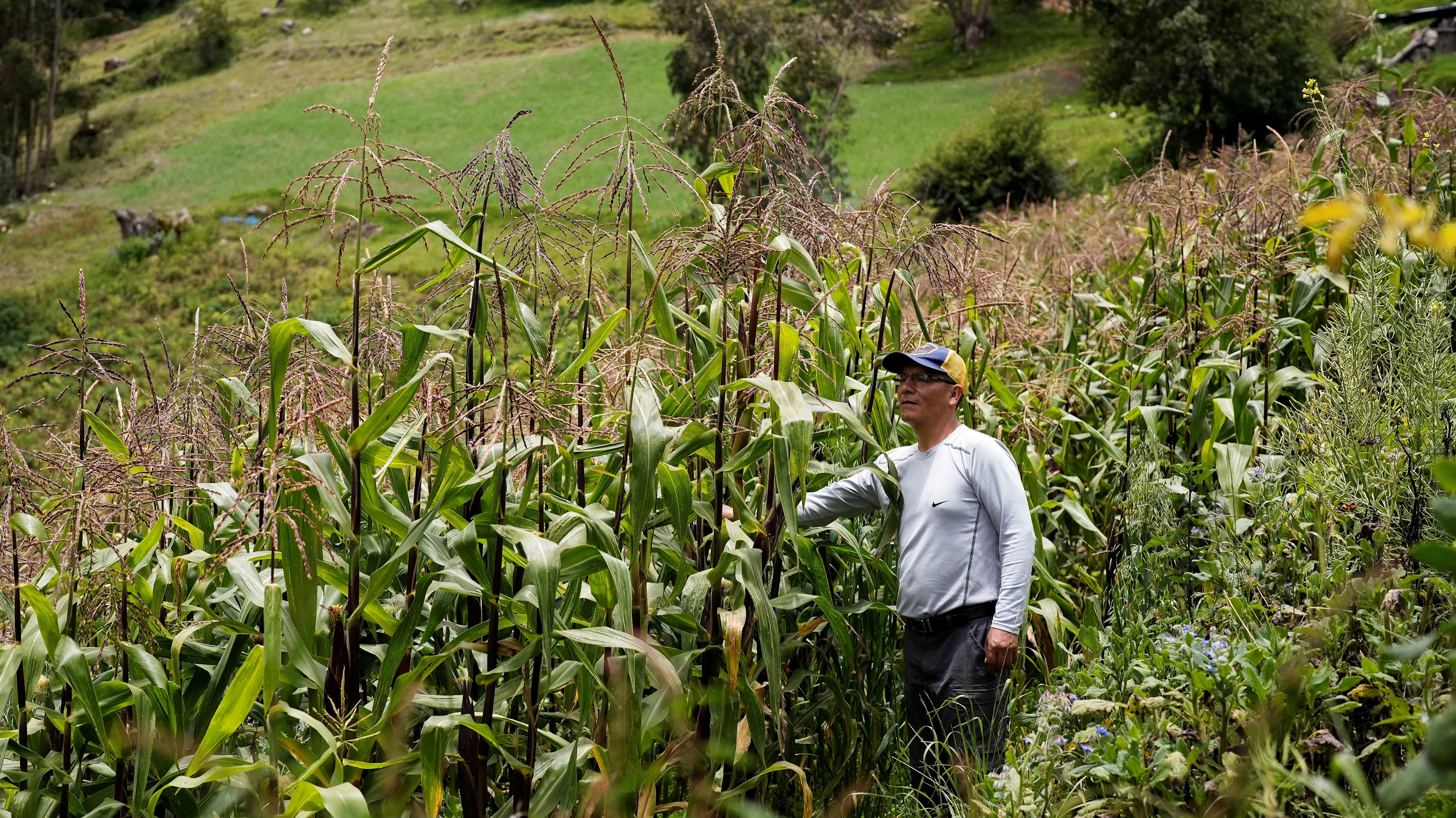 Citing melting glaciers, Peruvian farmer tests global climate law