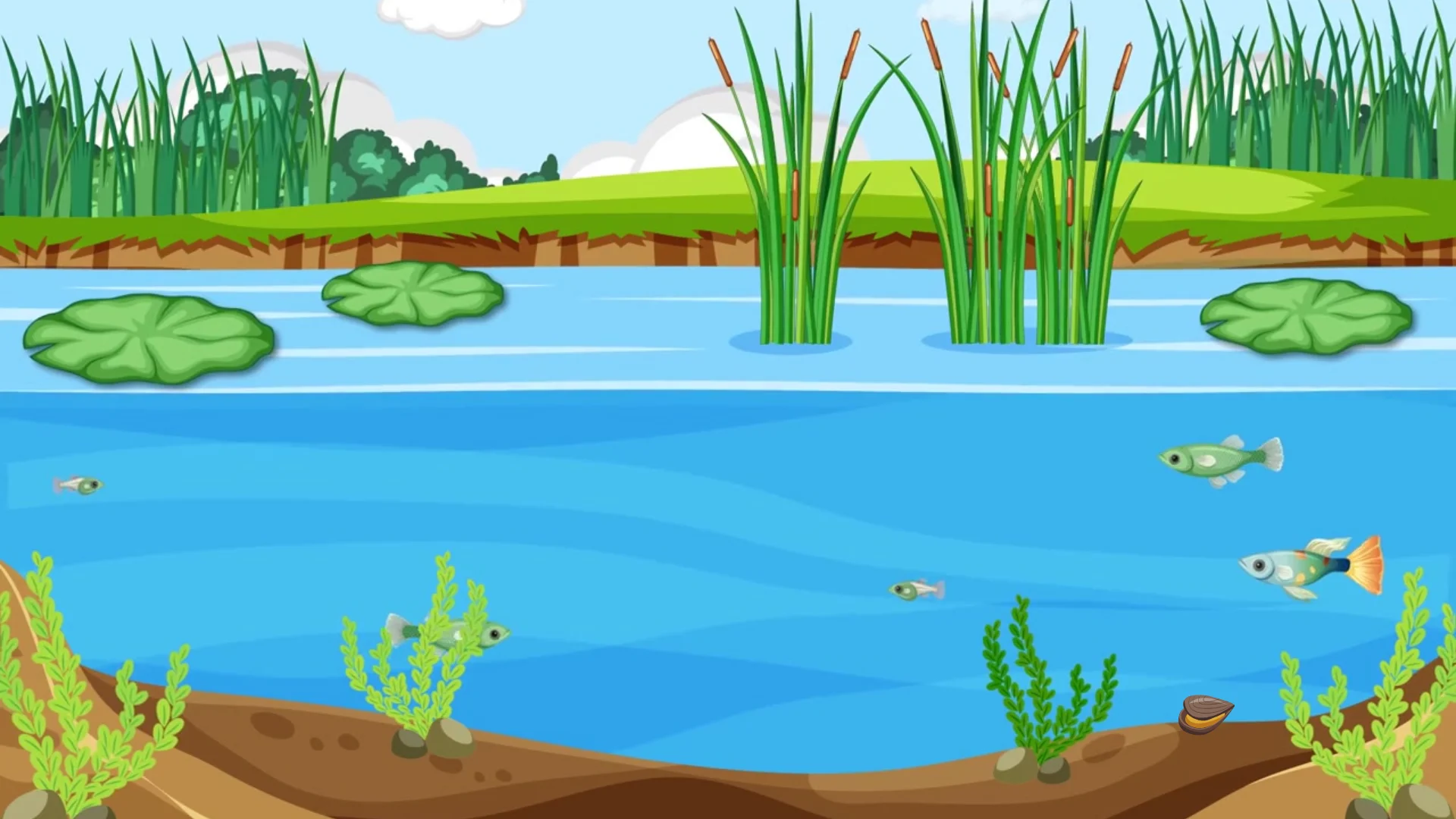 Three invasive species living in the great lakes the weather network