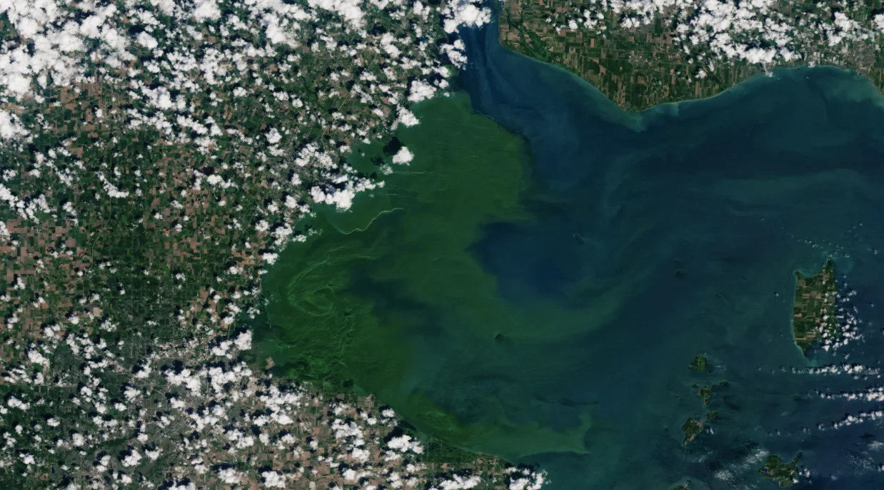 Western LAke Erie algal bloom