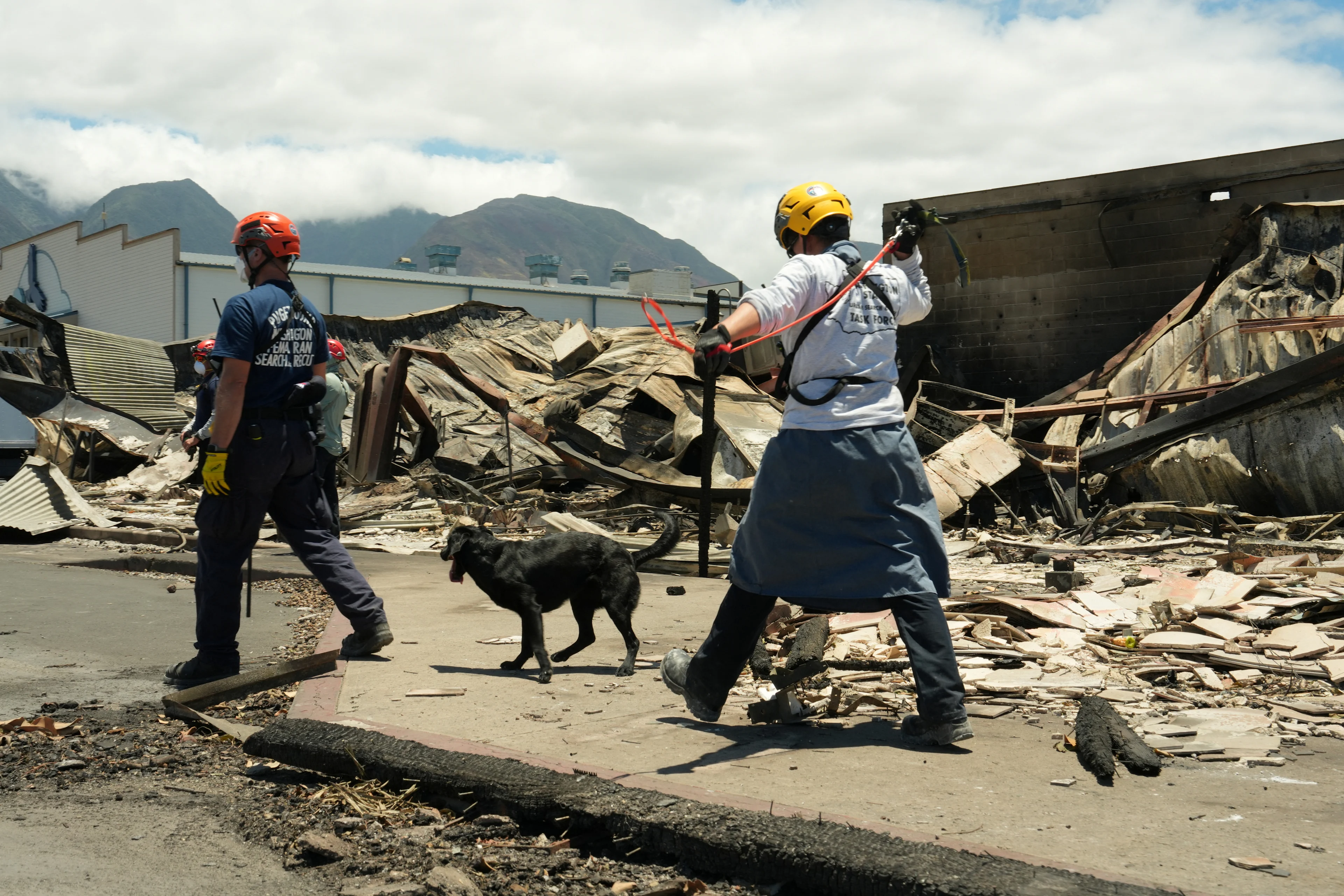 Reuters - HAWAII-WILDFIRES-DOGS - Aug16