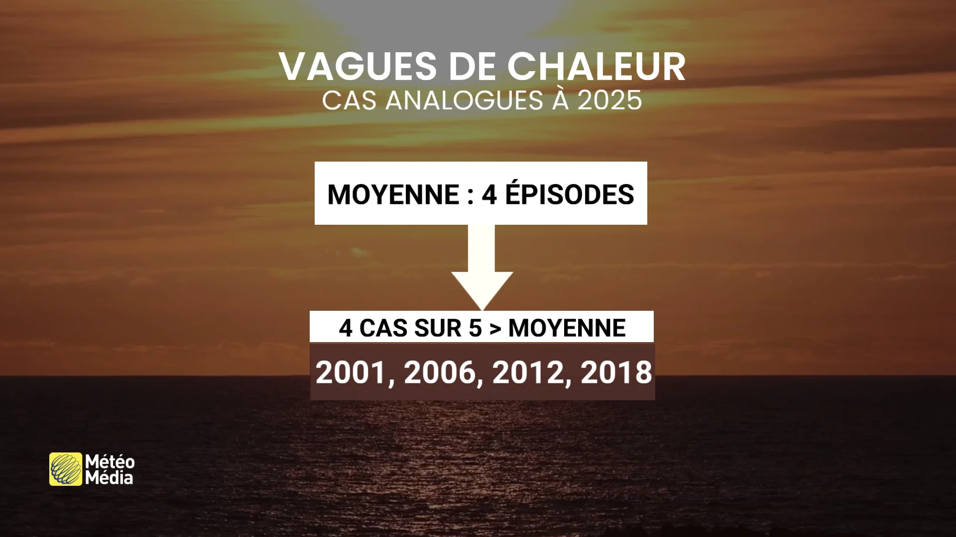 ANALOGUES 1