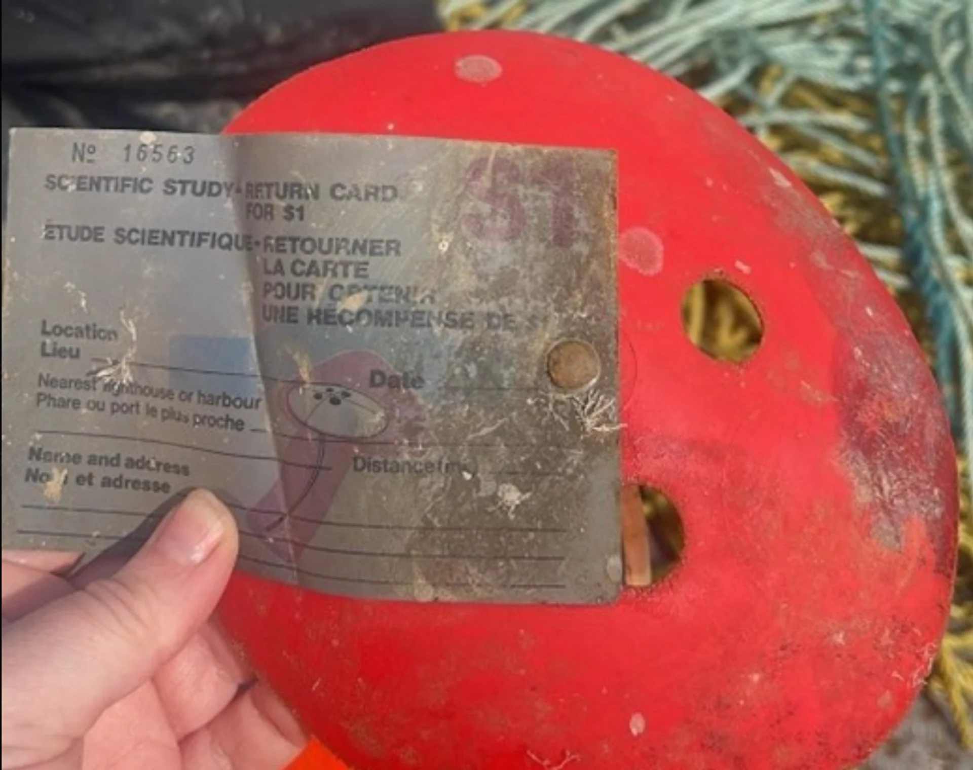 Drifting buoy recovered off Newfoundland coast after 64 years