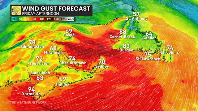 Early school closures as messy storm hits Atlantic Canada with ice ...
