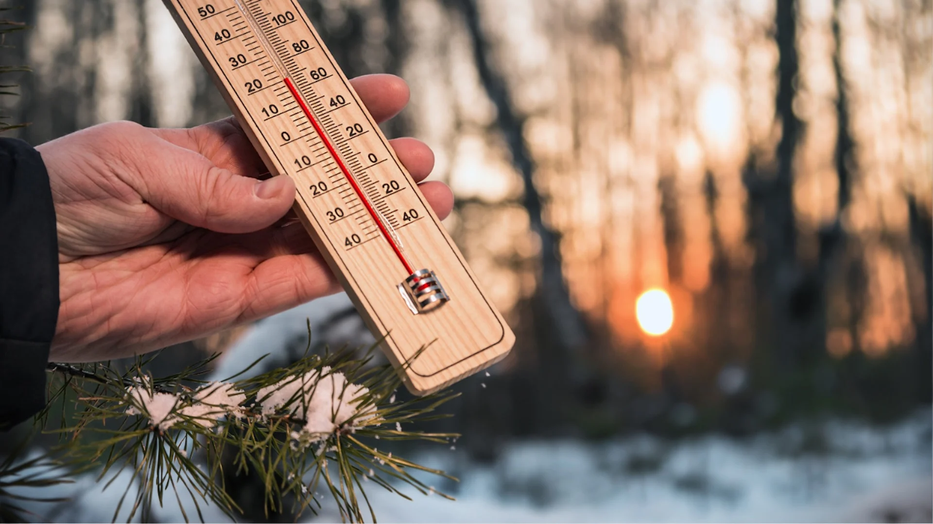 Ontario notched one of its warmest-ever February days on Friday