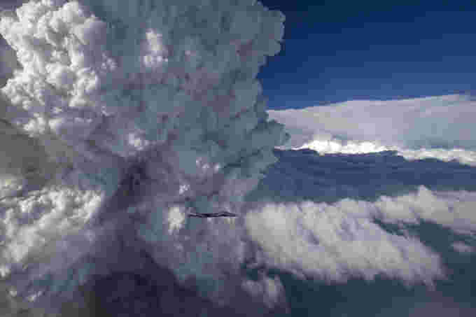 Pyrocumulus cloud, Beaver complex fire 2014