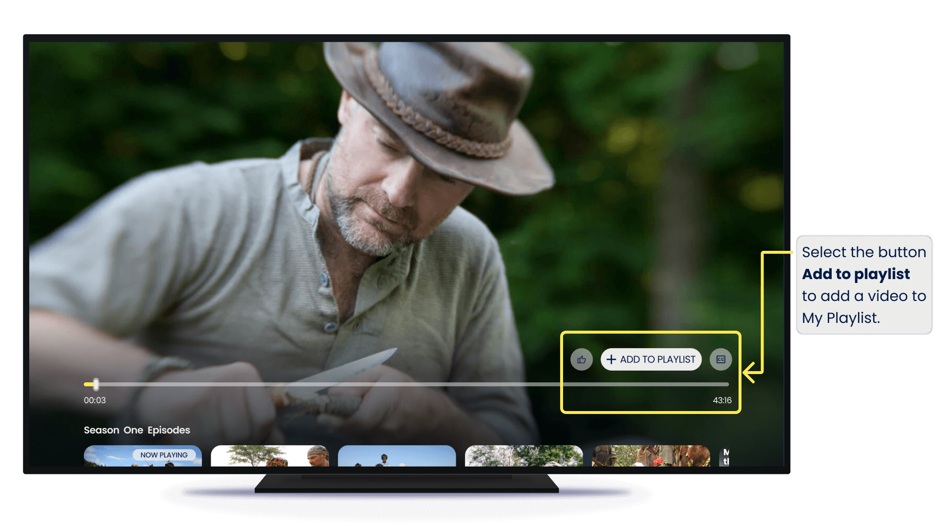 video fullscreen view
