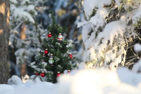 DATA. Les Noëls blancs, un mythe qui fond comme neige au soleil