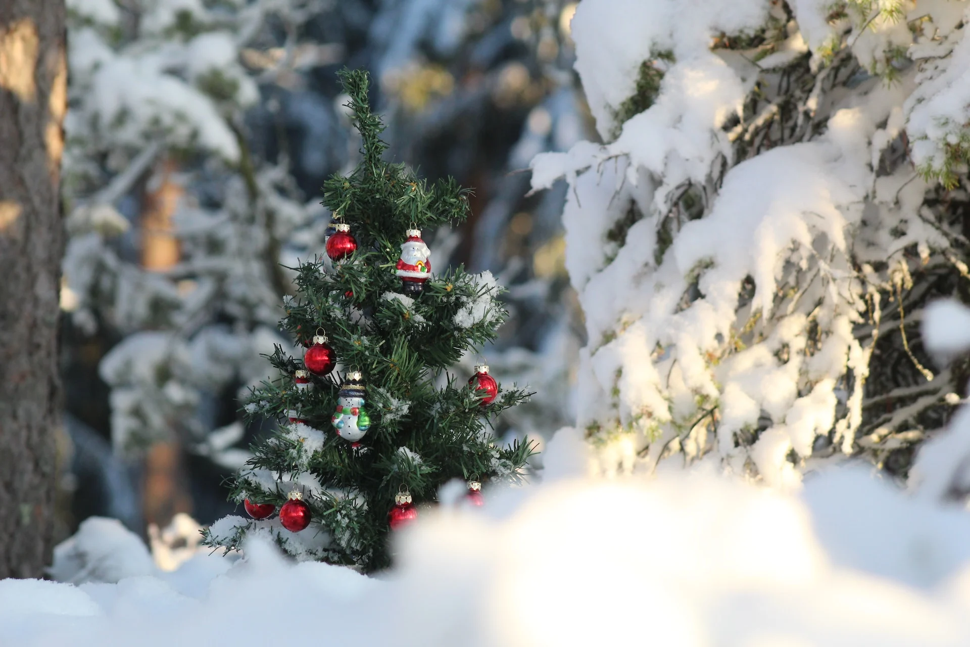 Noël blanc : du jamais vu depuis 1955