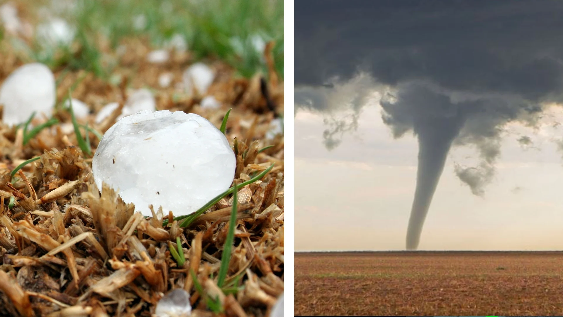 Qu'est-ce qui cause le plus de dommage : les tornades ou la grêle?