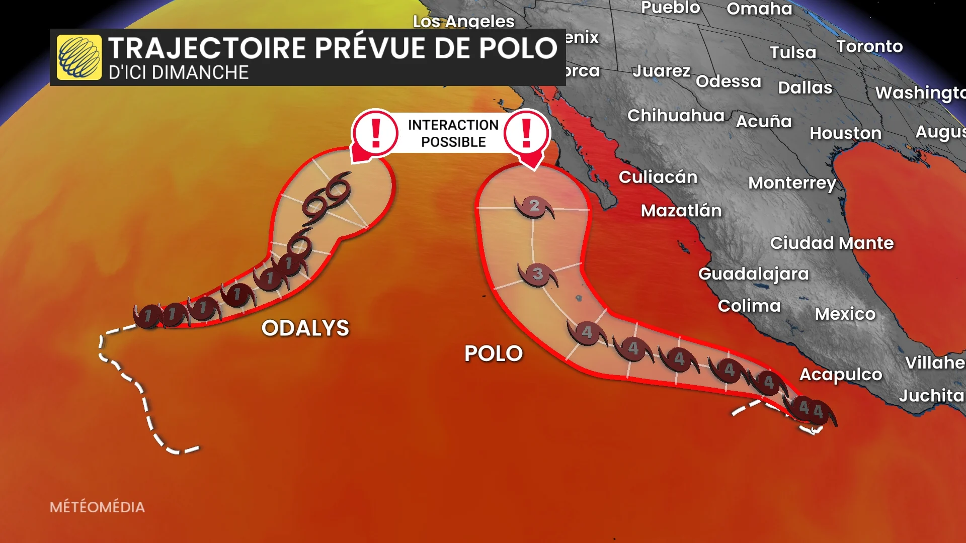 POLO3 (2)