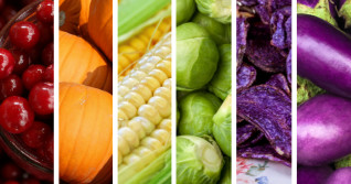 'Eat the rainbow' this Thanksgiving with in-season fruits and vegetables