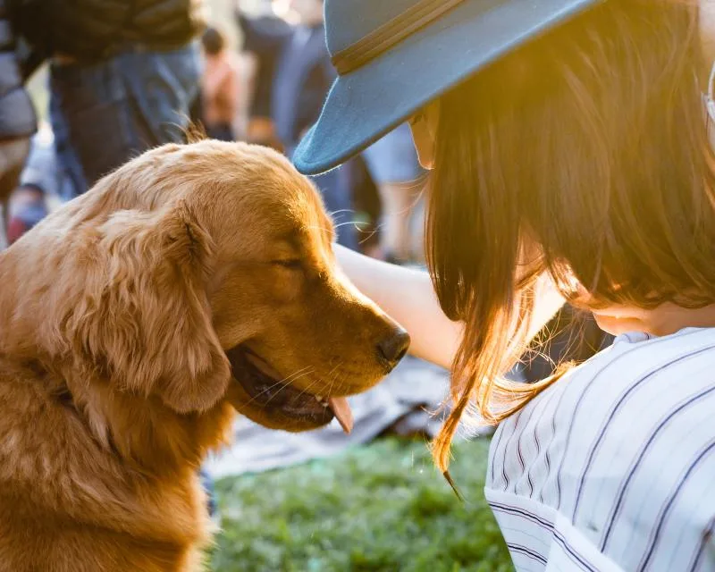 If you're hot, they're hot. 6 things to help cool down your pet