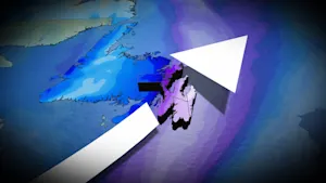 Weekend storm to bring heavy snowfall and strong winds to Newfoundland
