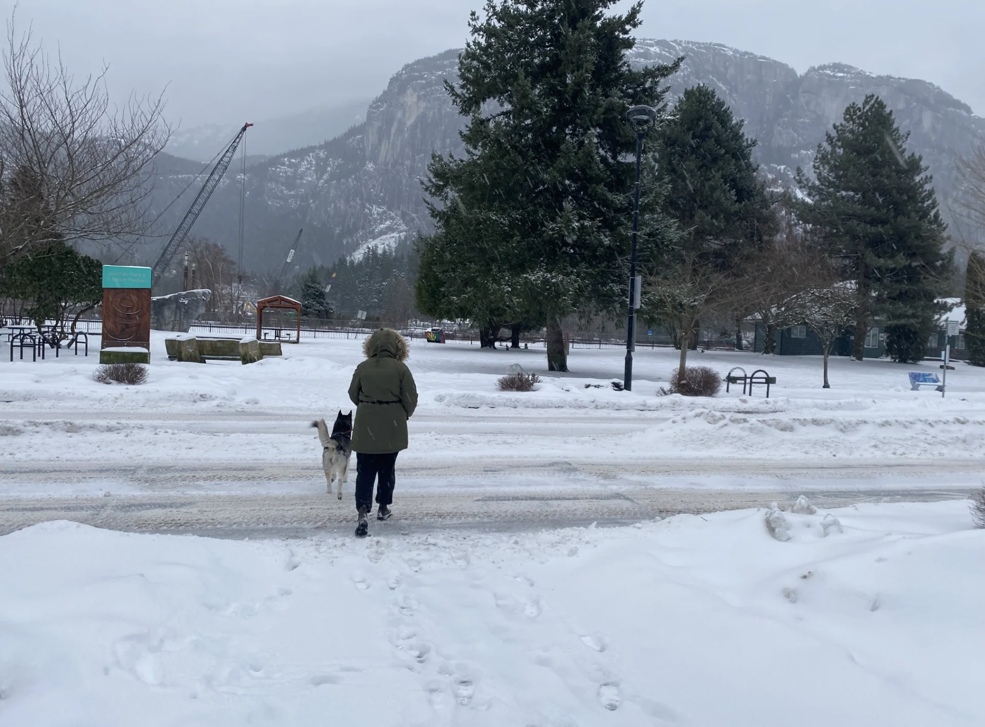 Flood, avalanche worries elevated in B.C. with bout of rain and snow