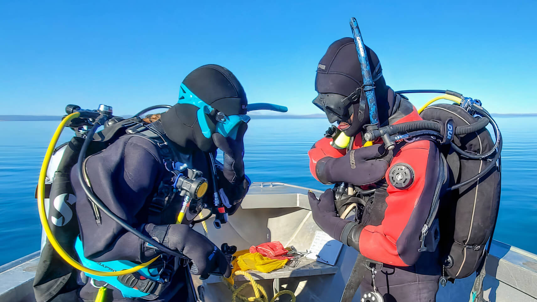 Researchers dive for kelp in the Arctic