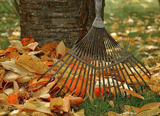Raking leaves/Pixabay