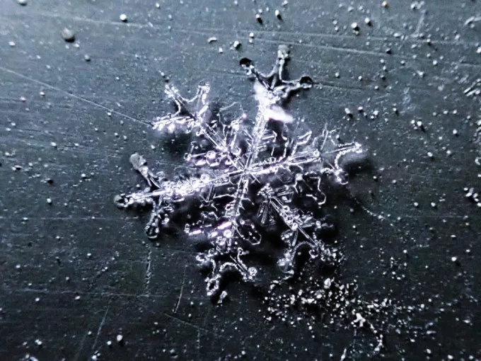 De magnifiques macrophotographies de flocons de neige révèlent leur impressionnante complexité!