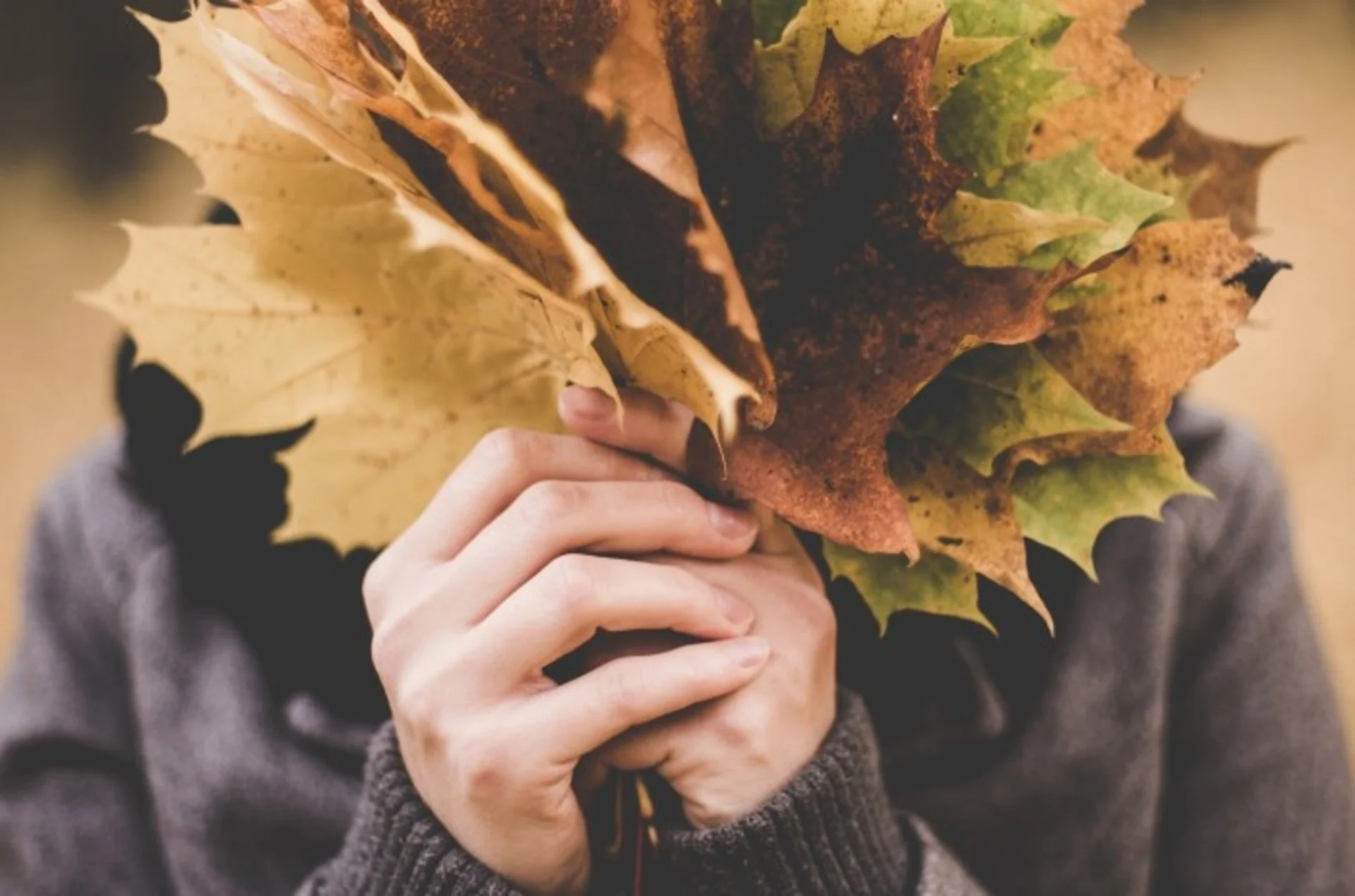 PHOTO chute de feuilles 1