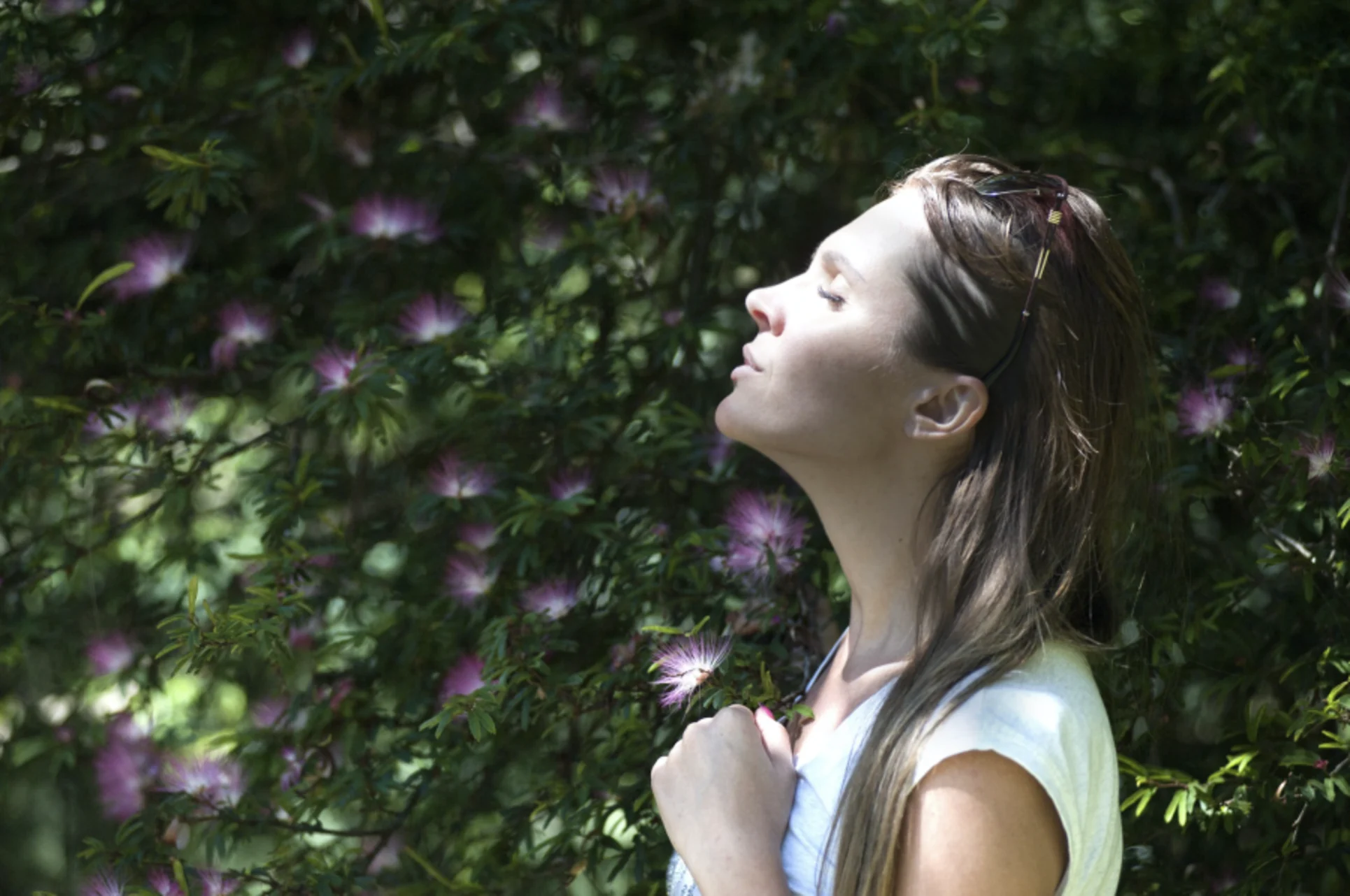 We know what causes the scent of spring, but what's it actually for?