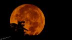 Eyes to the sky this weekend for the Harvest Moon