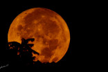 Here are five cool facts about tonight's 'micro' Harvest Moon