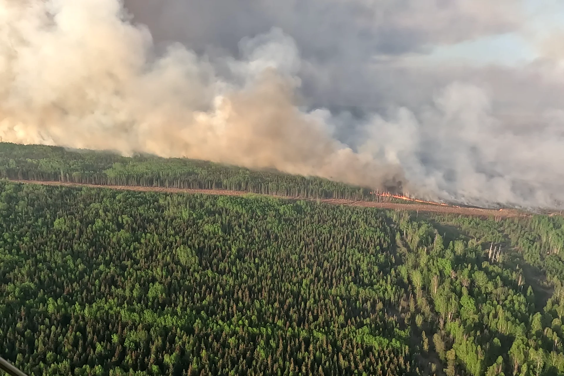 Feux de forêt : la saison s'annonce encore difficile en C.-B.