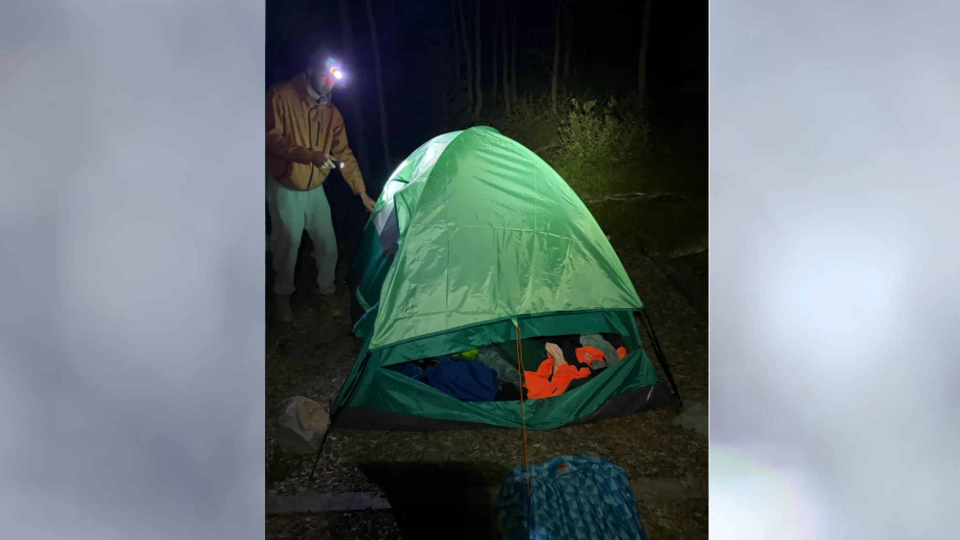 REDDIT - bear tent attack3