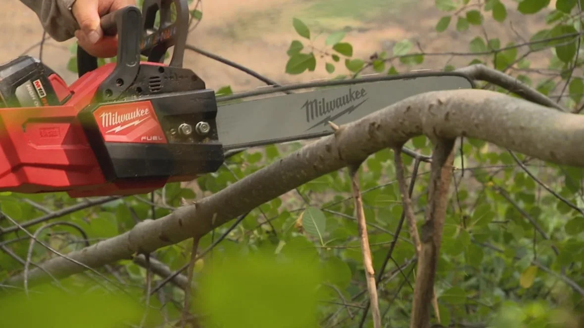 CBC Volunteers use everything from their own hands to a chainsaw to remove the invasive plants. (Daniel Jardine/CBC)