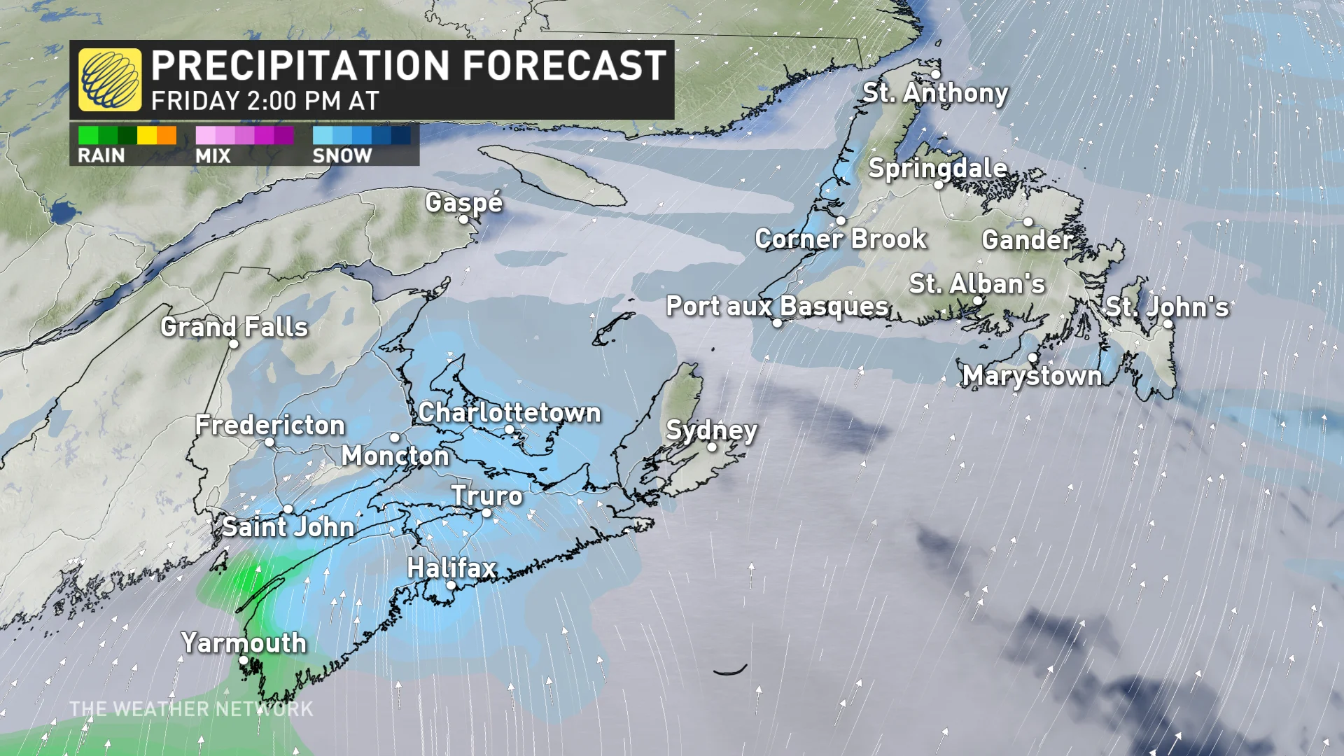 Baron - Atlantic Canada precipitation Friday 2 pm - Jan30
