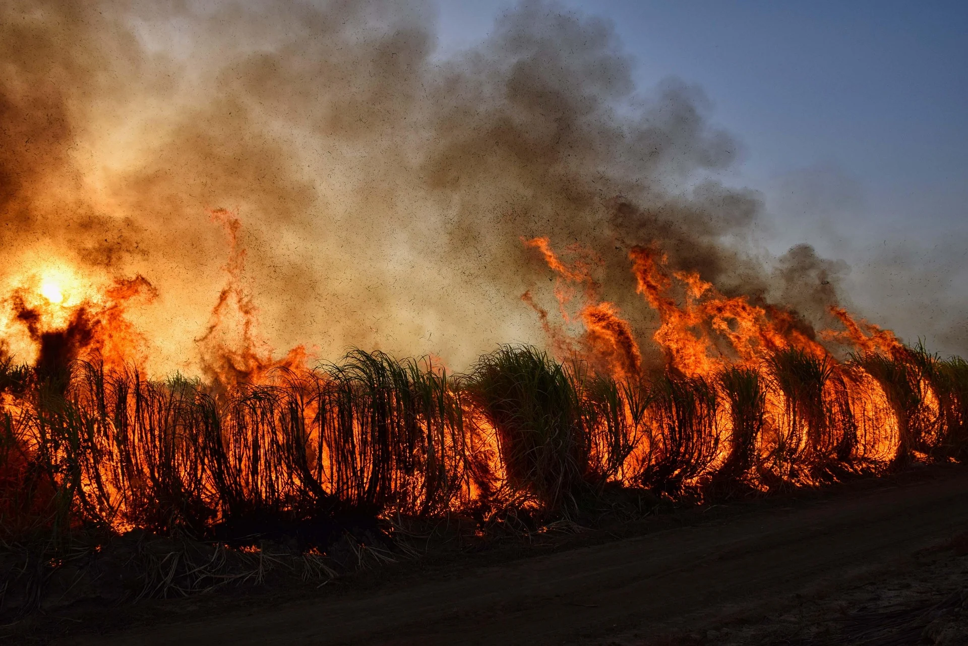 wildfire-7085630 1920