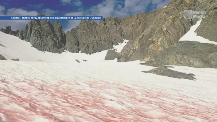 De la neige rouge sang en Antarctique