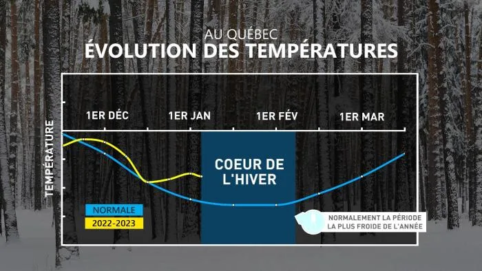 LT2 COEUR DE L-HIVER