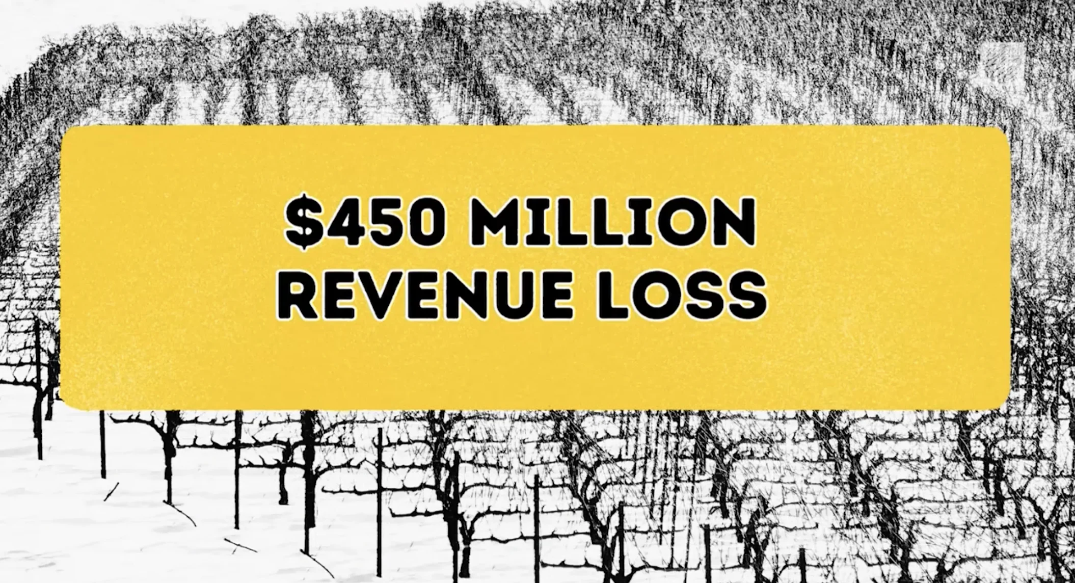 The B.C. wine industry estimates a loss of up to $445 million