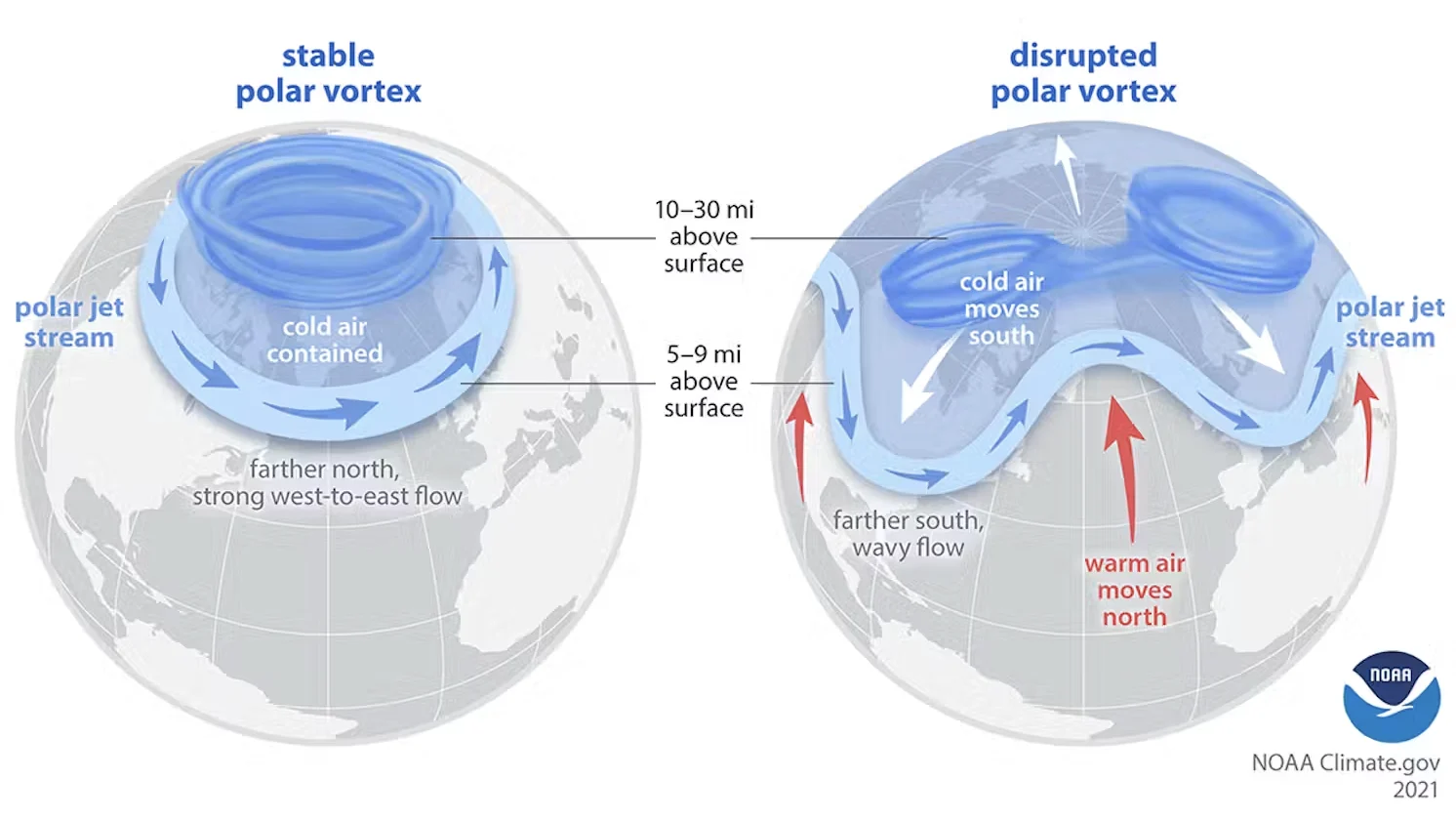 The Arctic polar vortex is a strong band of winds in the stratosphere, 10-30 miles above the surface. When this band of winds, normally ringing the North Pole, weakens, it can split. The polar jet stream can mirror this upheaval, becoming weaker or wavy. At the surface, cold air is pushed southward in some locations. NOAA: https://www.climate.gov/news-features/understanding-climate/understanding-arctic-polar-vortex