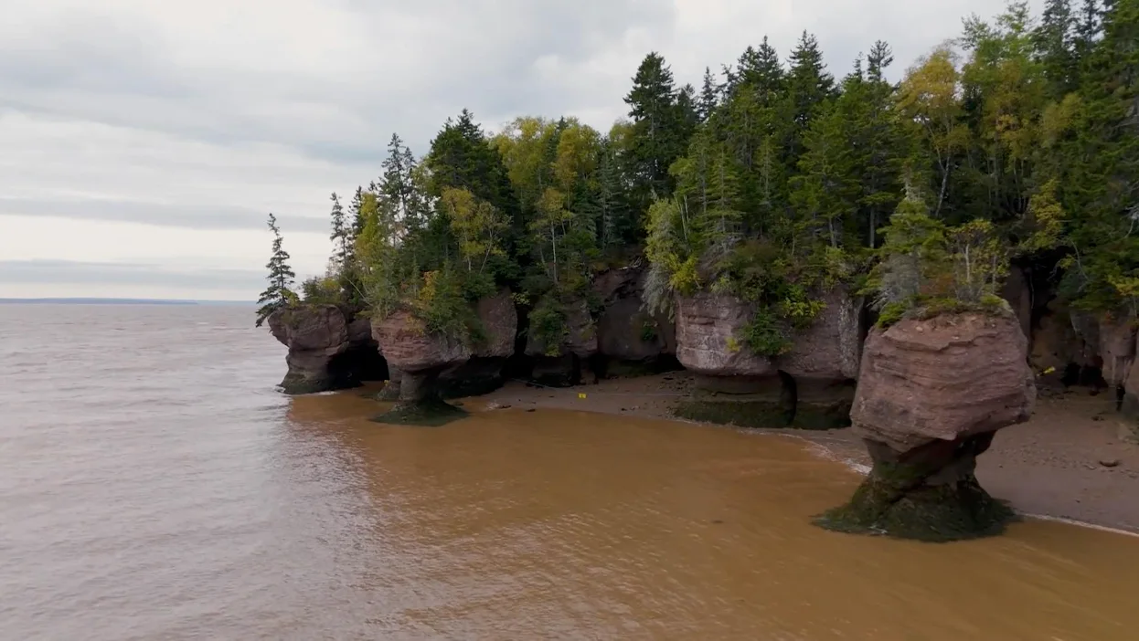 TWN: Bay of Fundy