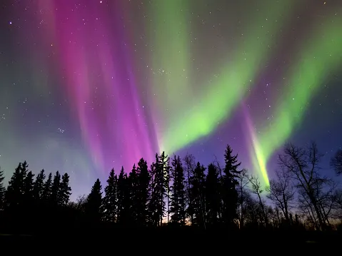 Still a chance to see the Northern Lights across parts of Canada tonight