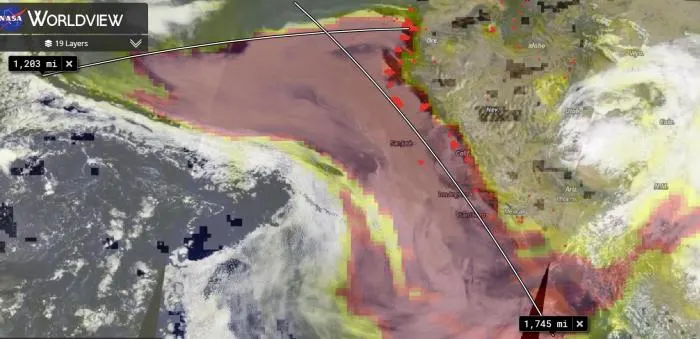 Situation alarmante : les feux observés par la NASA