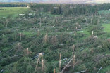 PHOTOS: Tornado damages homes and downs trees in Alberta community