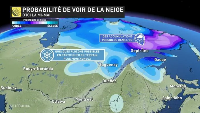 NEIGE3 (7)
