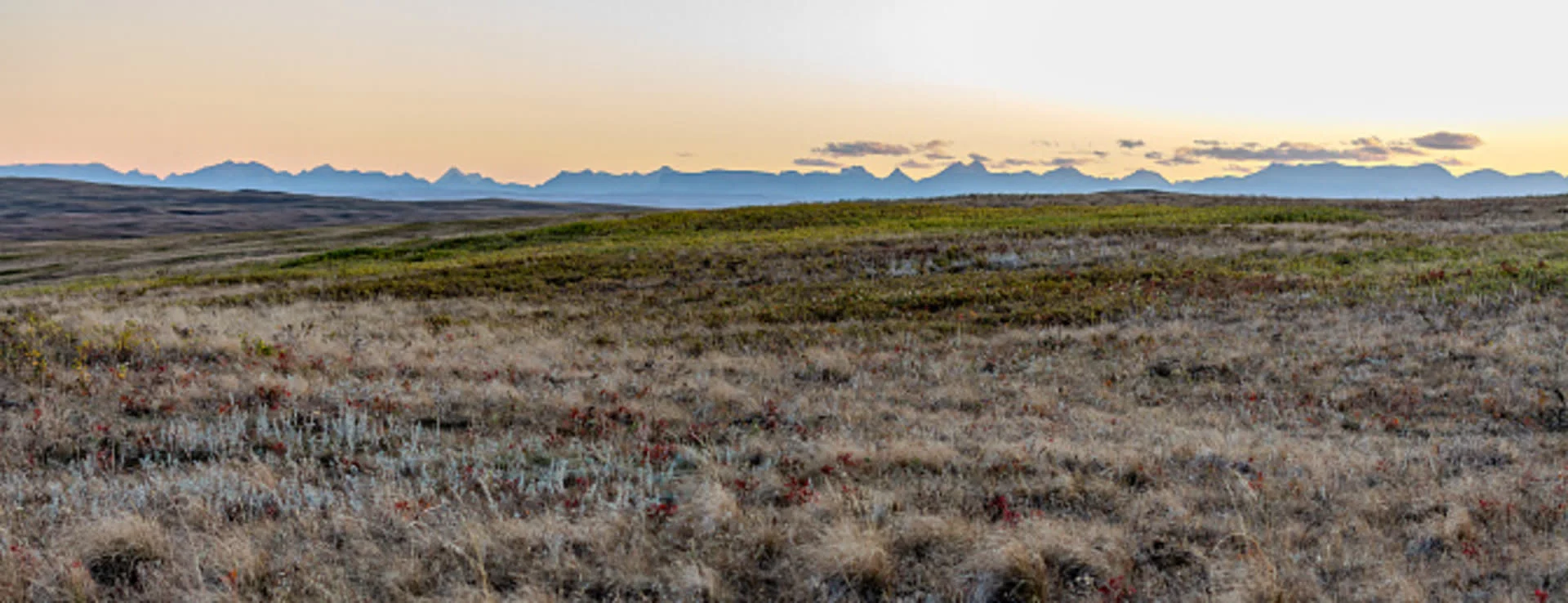 Many Alberta farmers found relief after facing drought, but the story continues