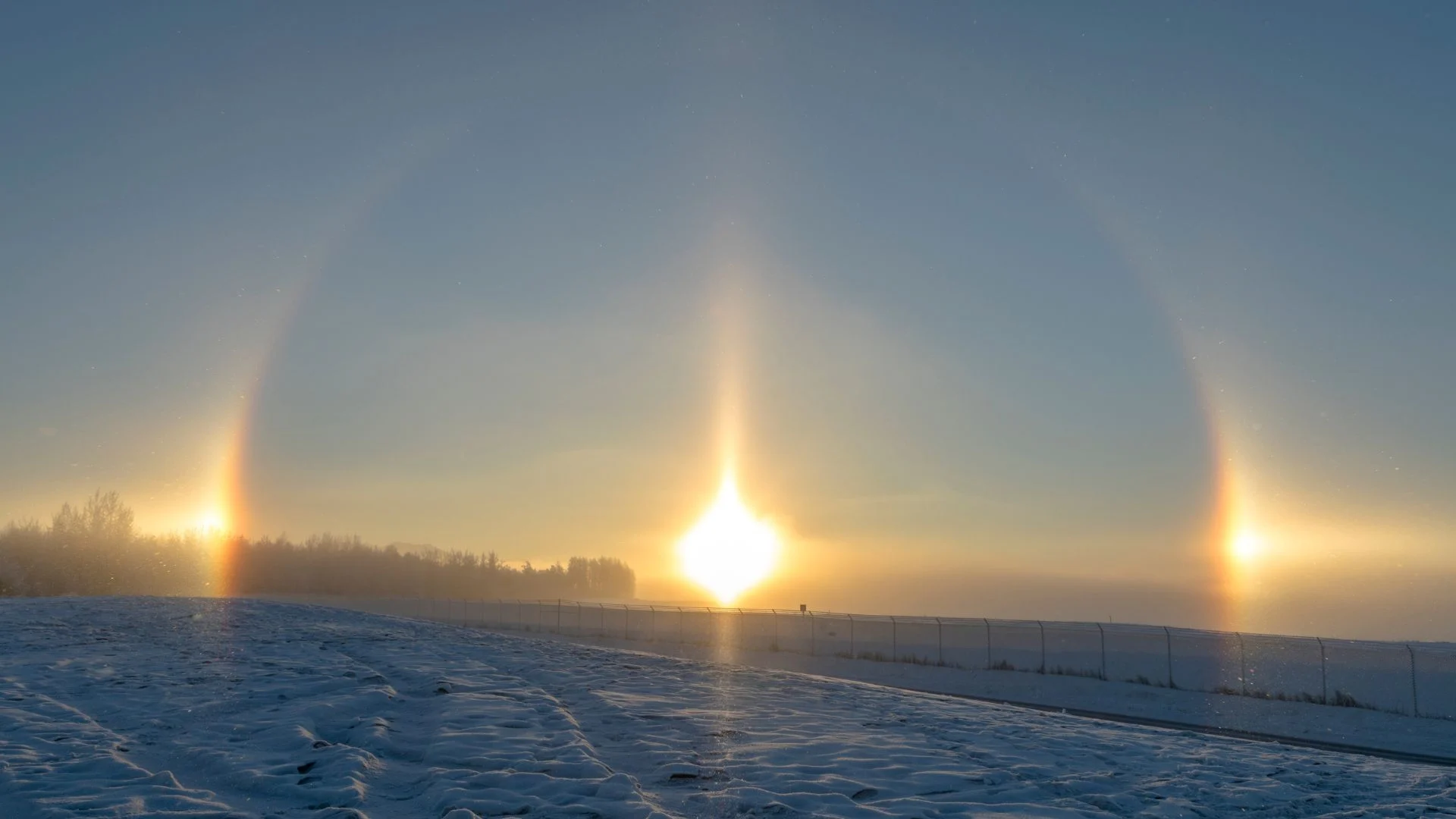 Sundog/CANVA