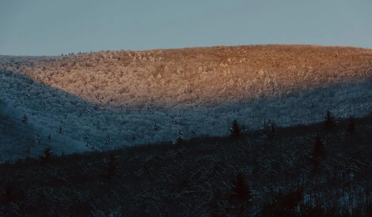 Gaspésie : plusieurs personnes impliquées dans une avalanche