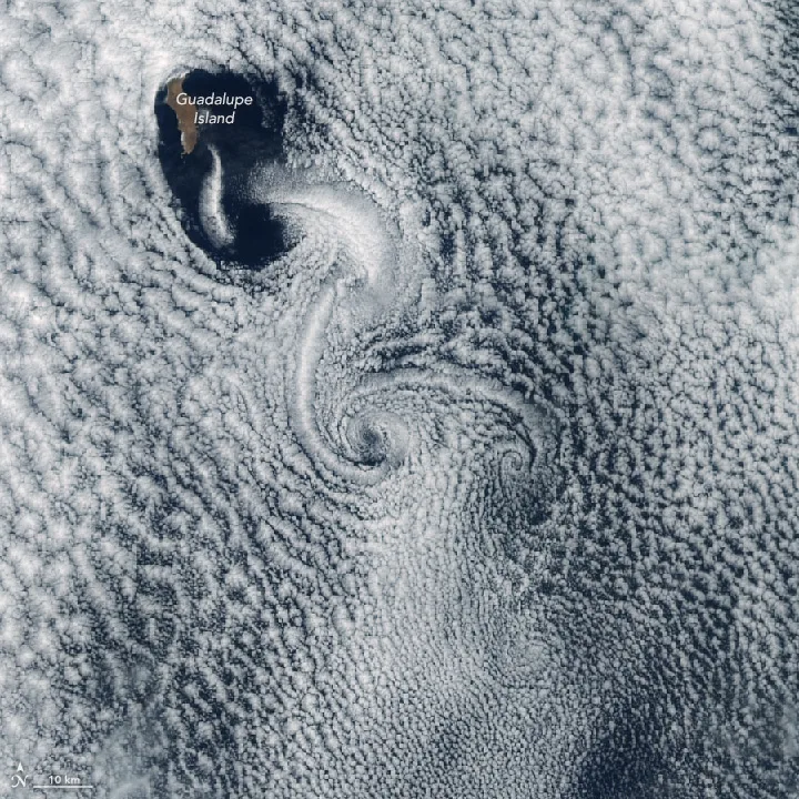 Vortices on the lee side of Guadalupe Island