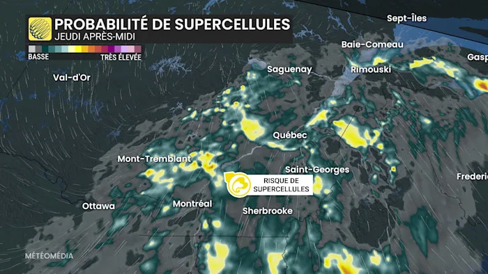 ORAGE3 (4)