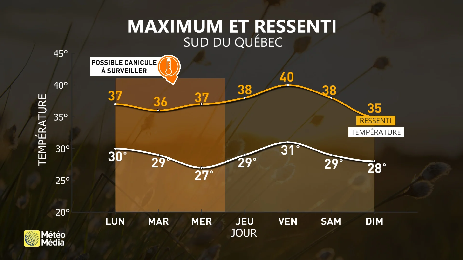 METEOGRAMME RESSENTIE 7JOURS