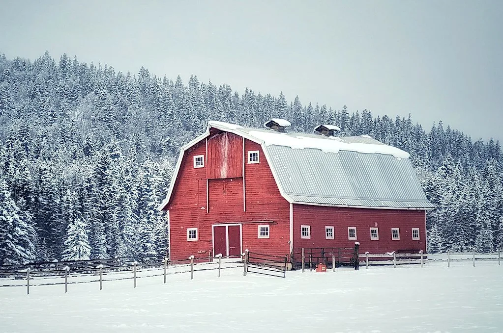 Alberta snow/Kyle Brittain