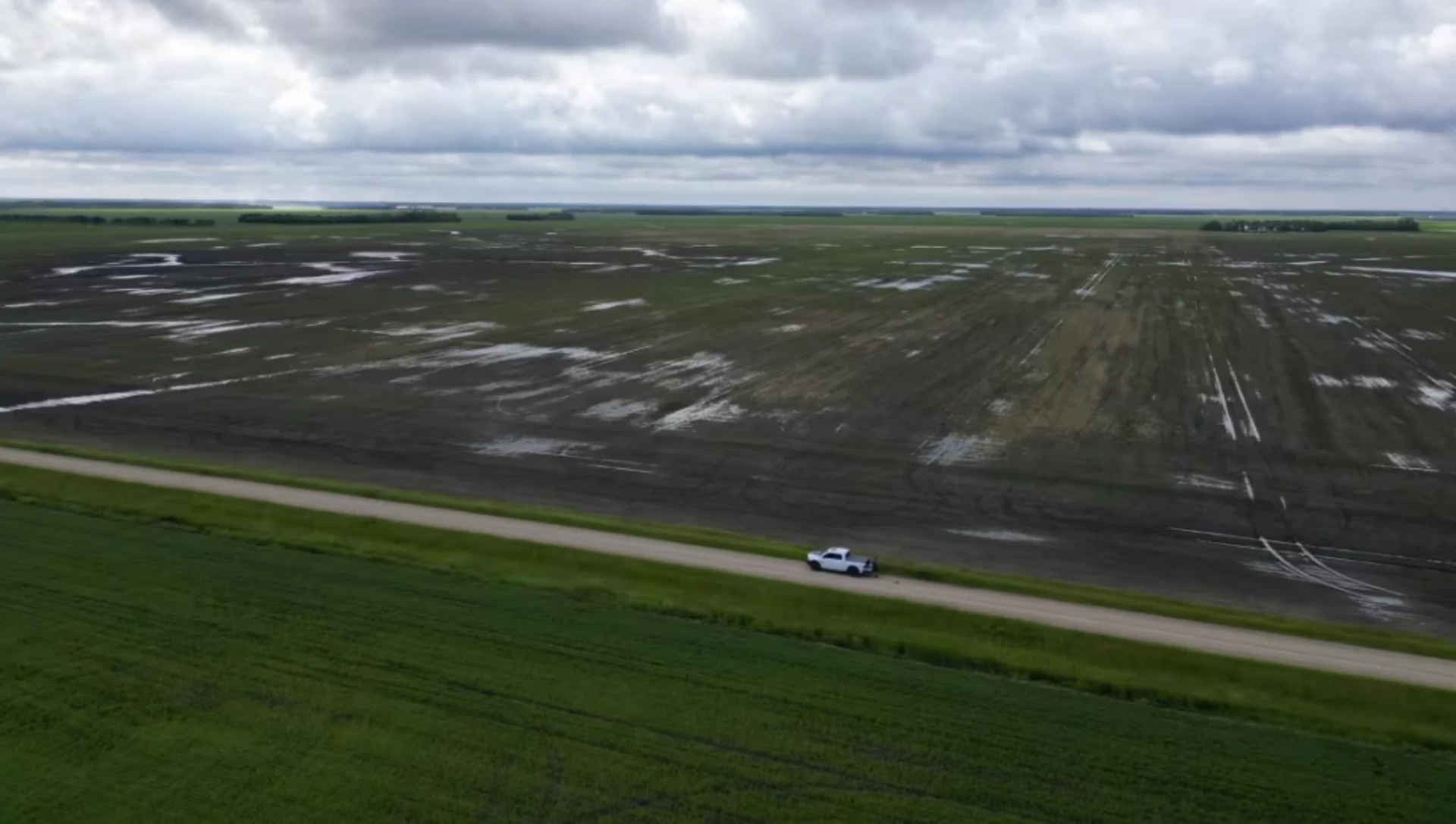 Winnipeg's wet June spurs bountiful berries, flooded fields and flowing sewage