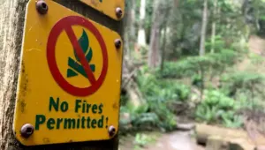 Campfire ban comes into effect in B.C. amid heightened fire risk