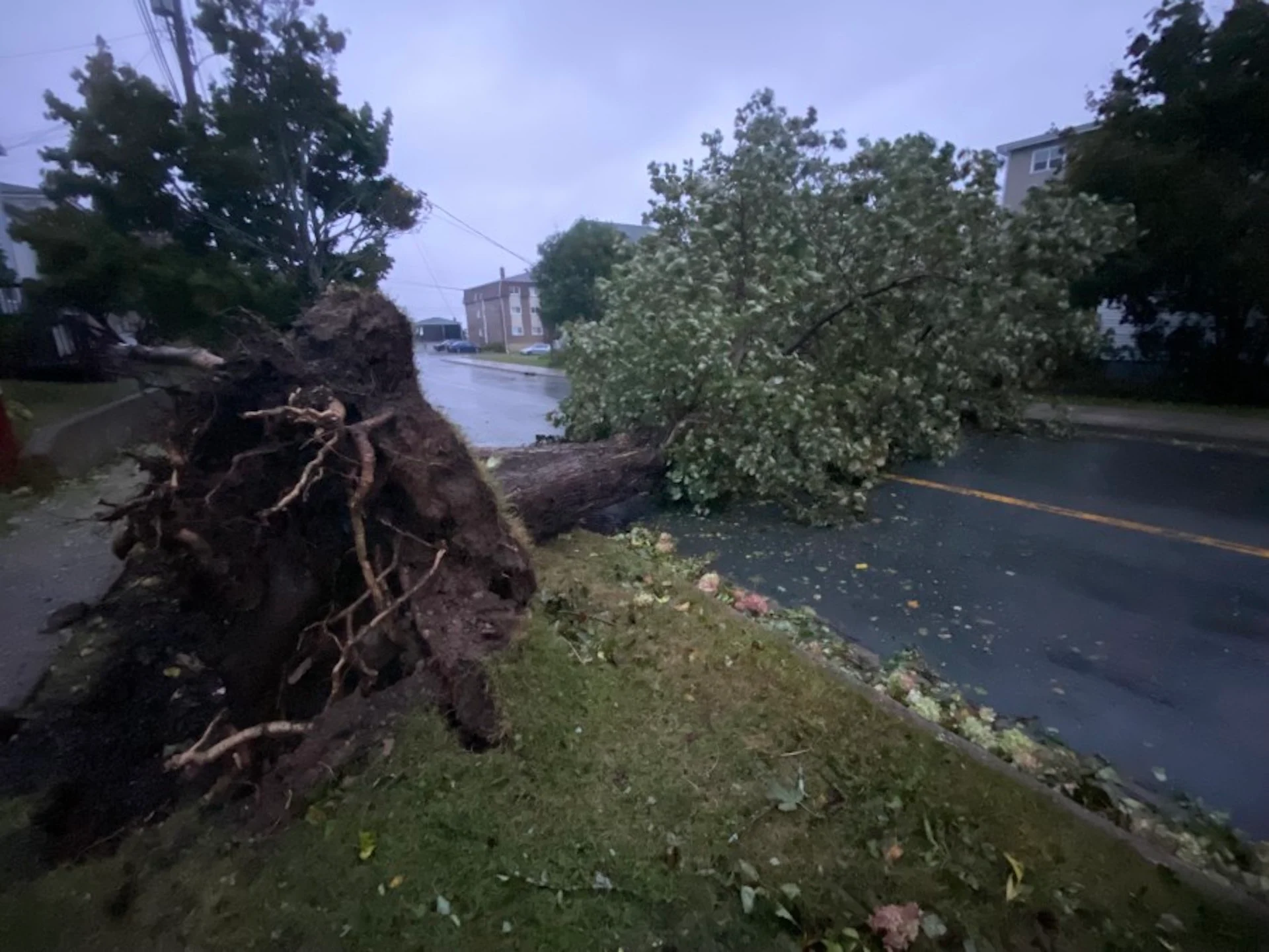 Halifax faces more than $20M repair bills after year of hurricane, fire, floods