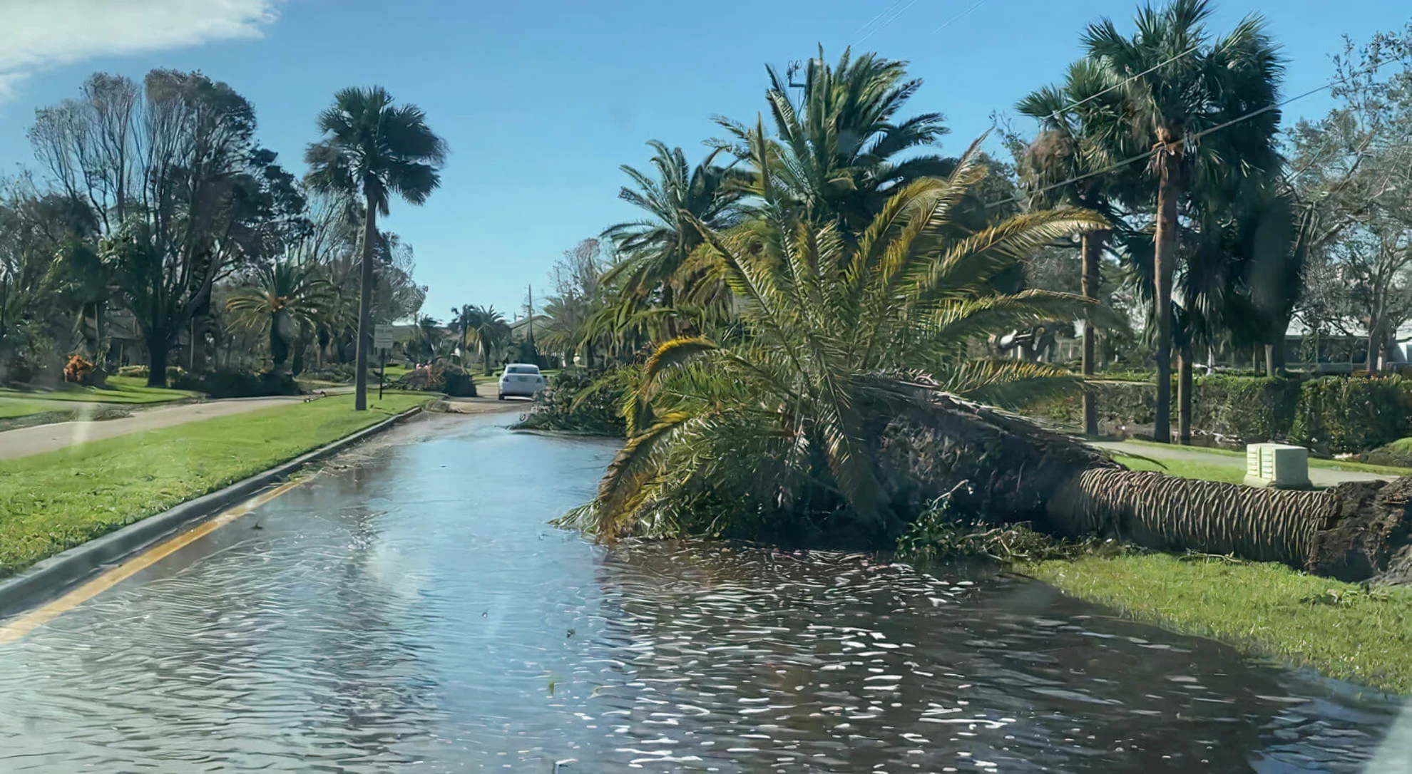 Increased flooding events could bring more tropical diseases to North America